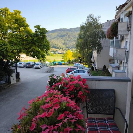 Apartman Snjeska Buzet Bagian luar foto